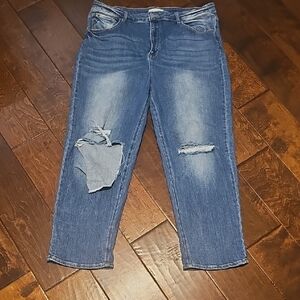 Risen Jeans 2X Women’s Blue Distressed Denim – NWOT